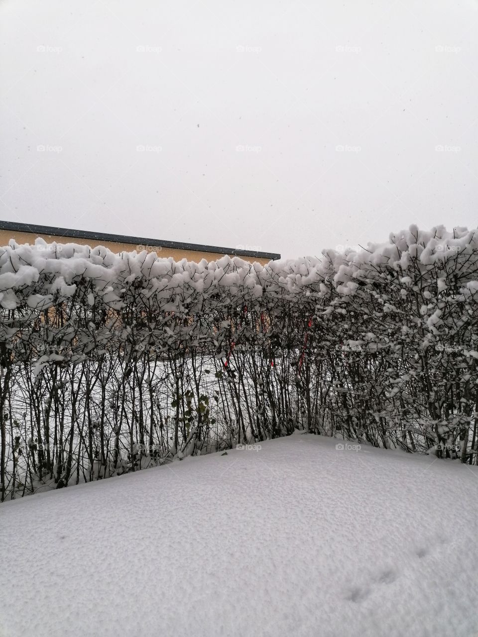 For the first time in Finnish Lapland, it snowed properly in September 2021.