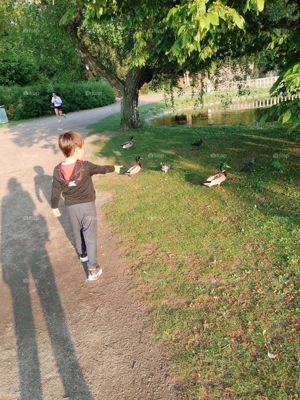 Urban nature- wildlife