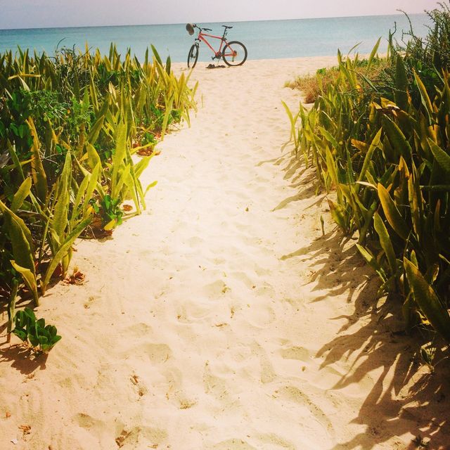Path