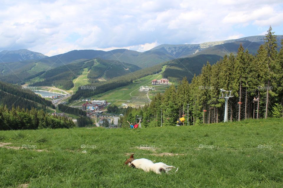 Love is in the air... summer mood in Bukovel resort area of the Carpathian mountains. 