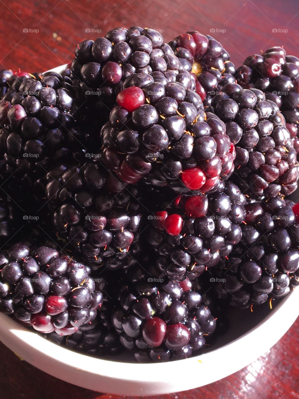 Bowl of Black Berries 
