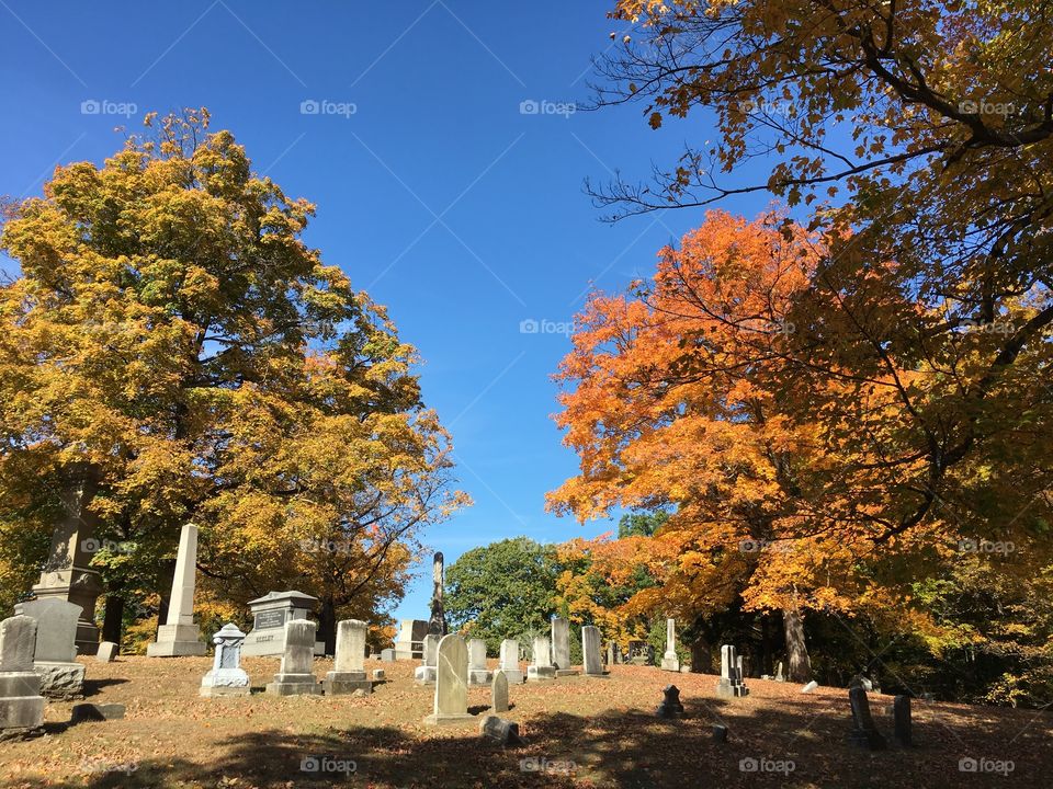 Cemetery in the fall