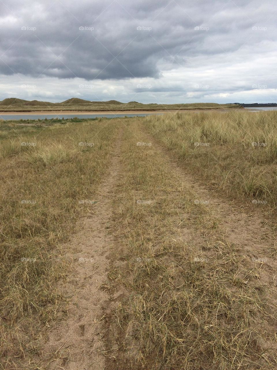 Trackway across a grass-covered sandy beach towards an inlet with tall dunes in the background
