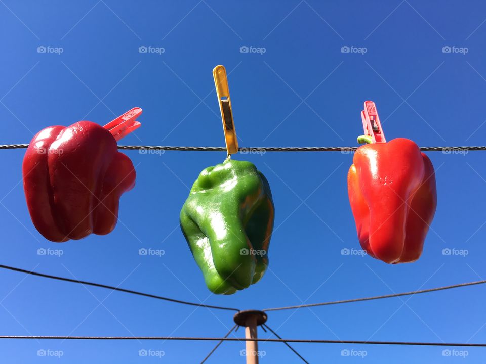 Three bell peppers capsicums hanging on a clothesline just because. Vivid red and green against blue sky