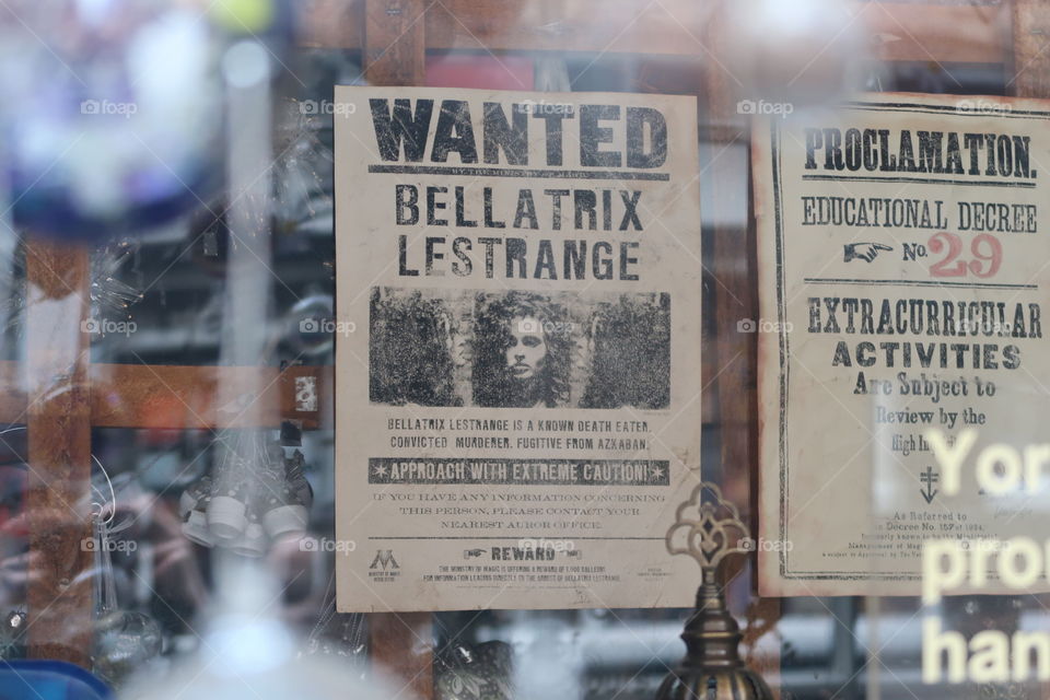 Harry Potter In York