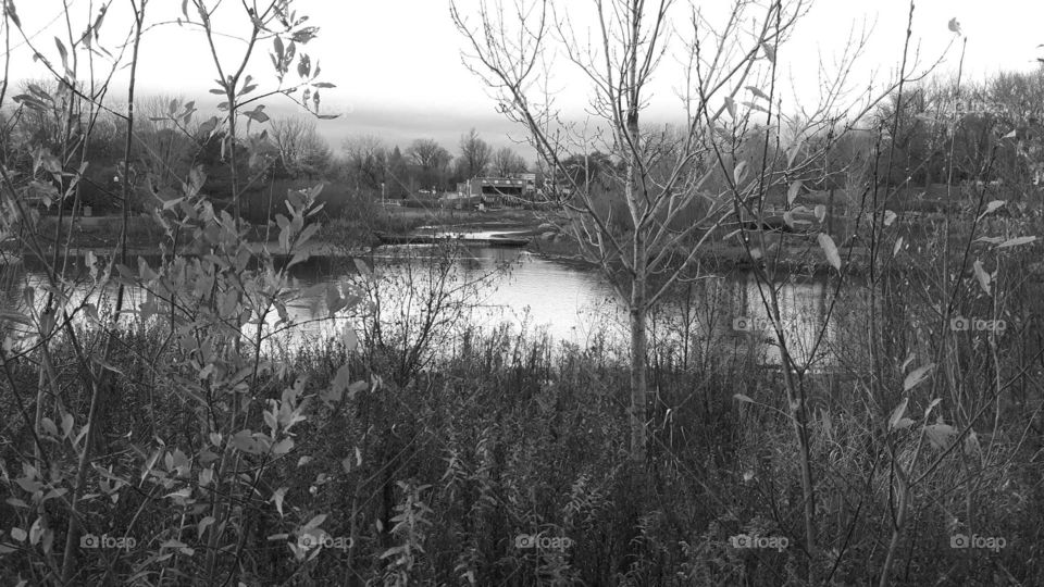 river in black in white!