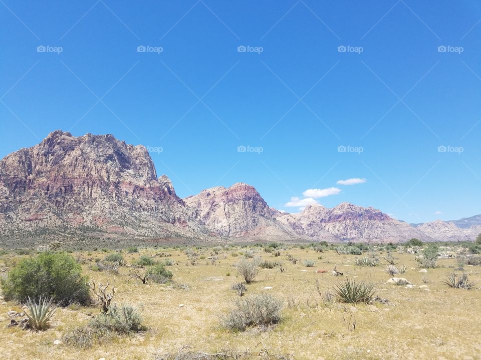 Desert, Travel, Landscape, Cactus, Mountain