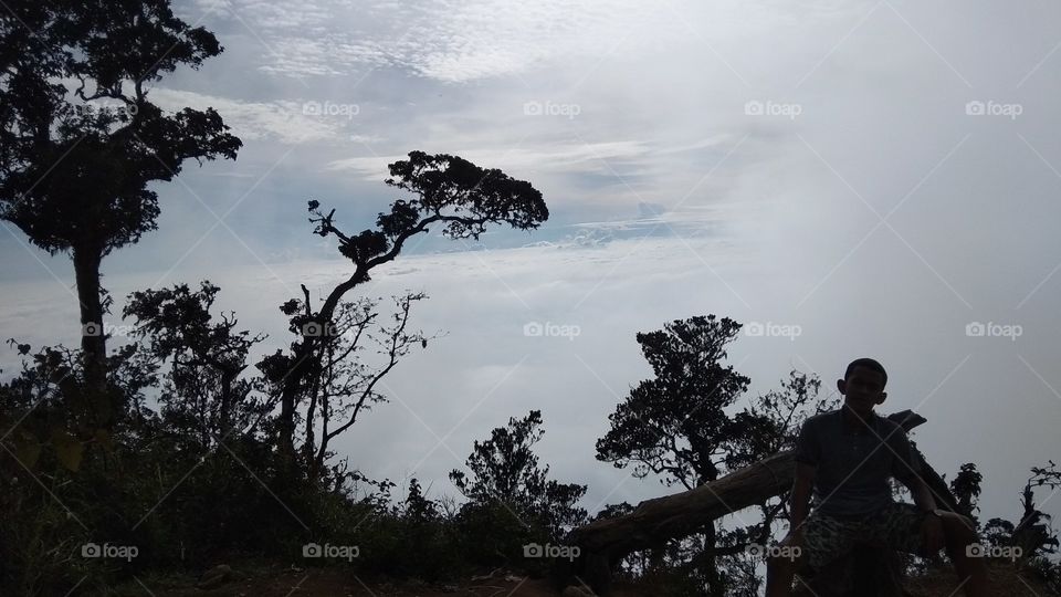 sky smoke light tree grass hill dawn