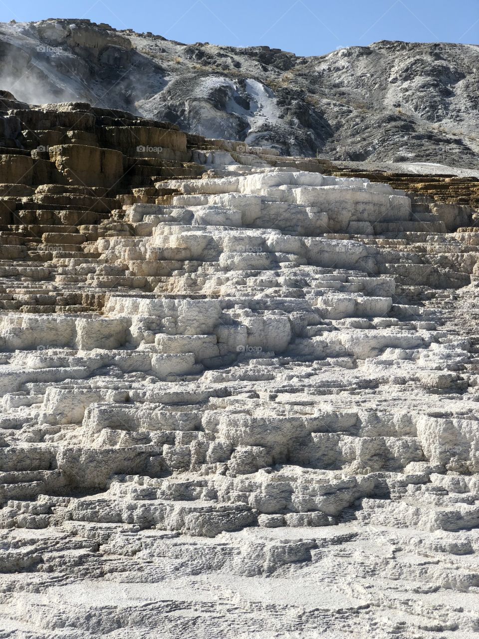 Mammoth Springs in Yellowstone
