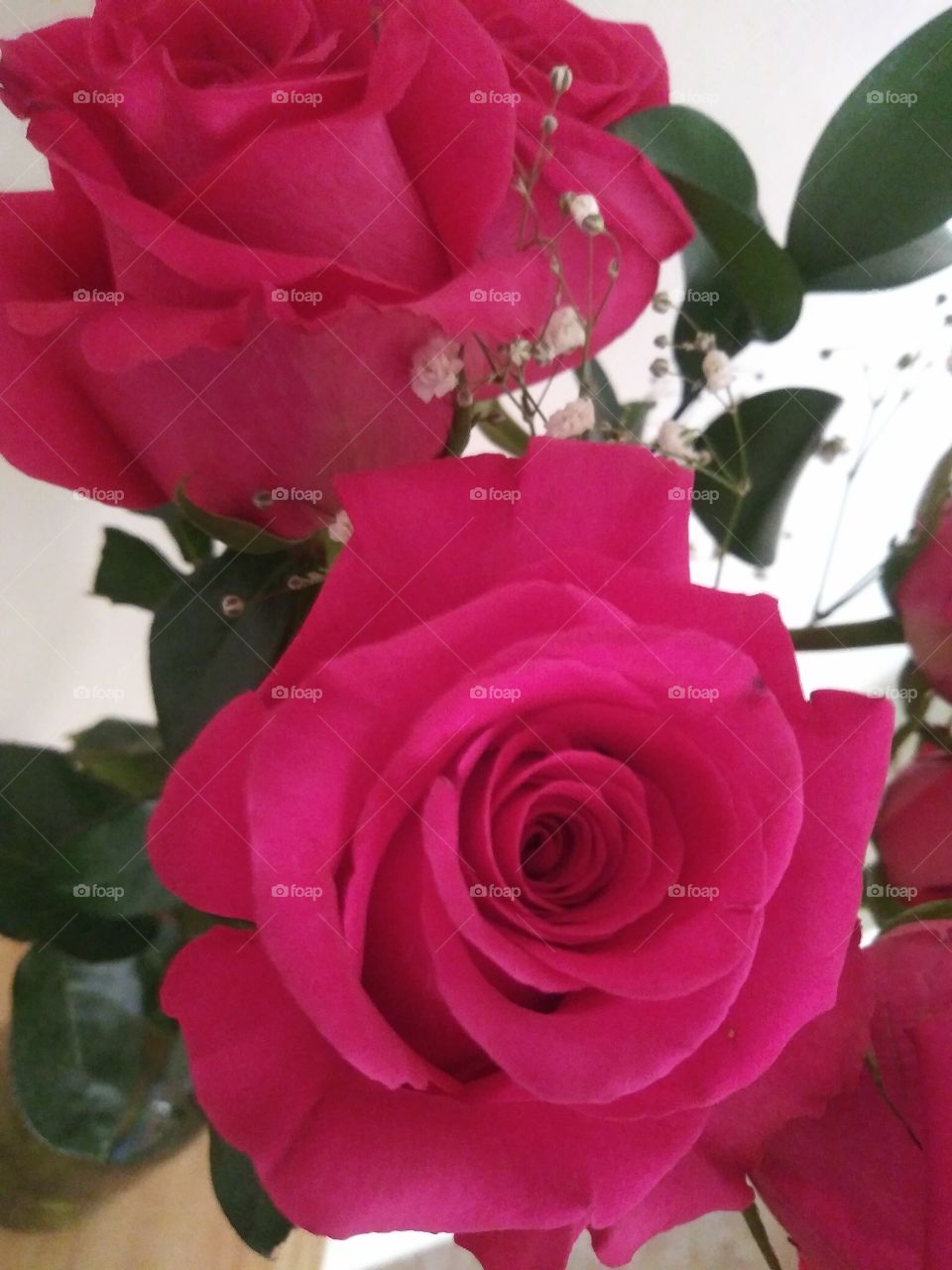 Roses are Pink..