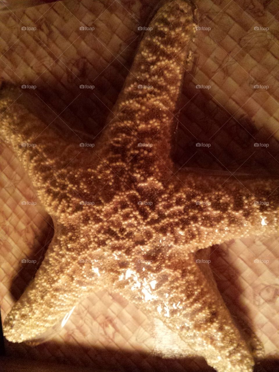 starfish