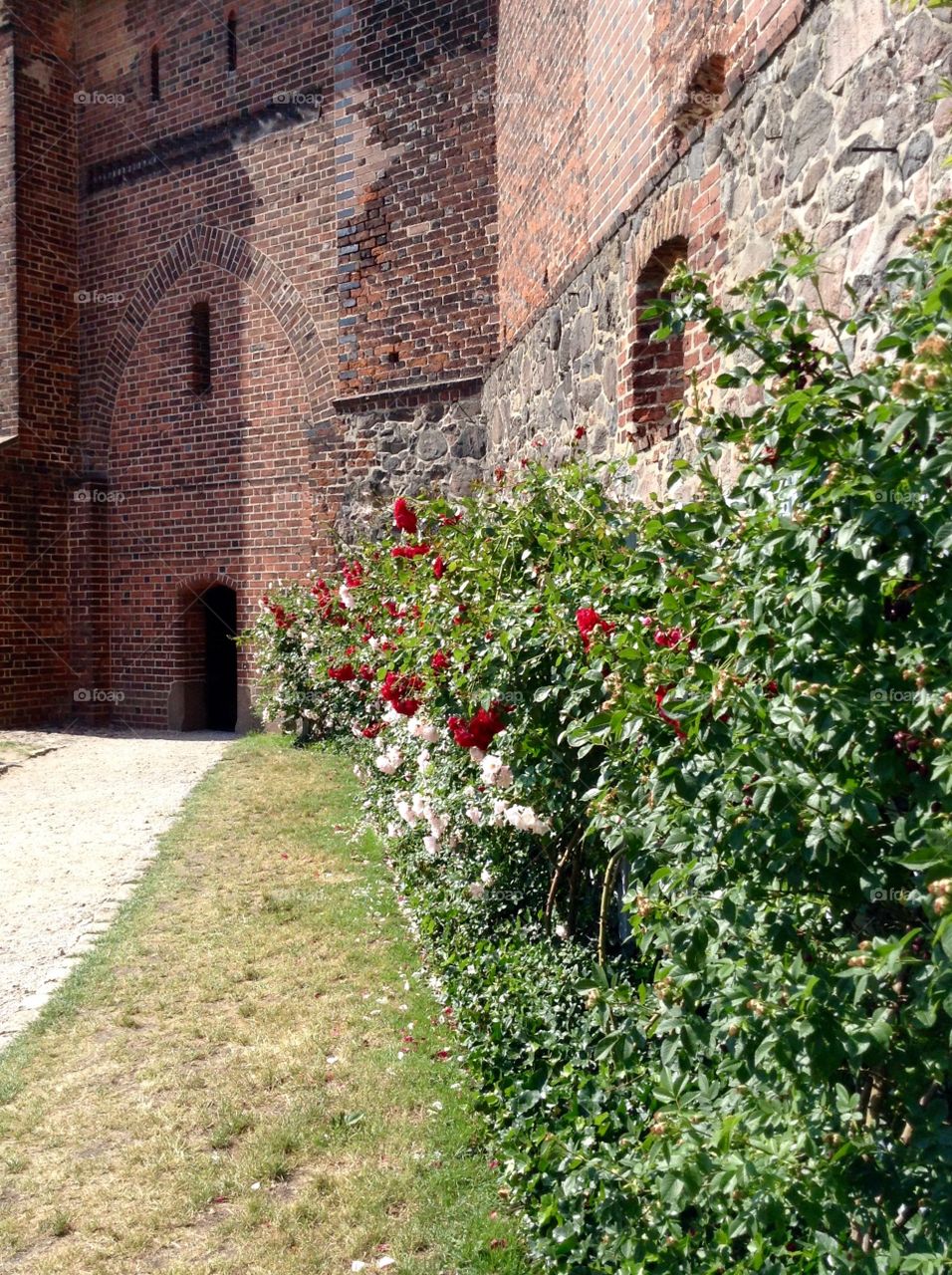 Garden in Malbork castle
