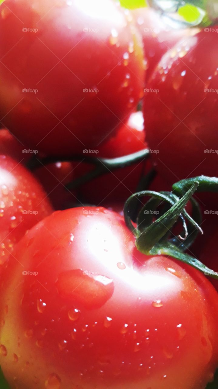 itsmario edits, wet tomatoes