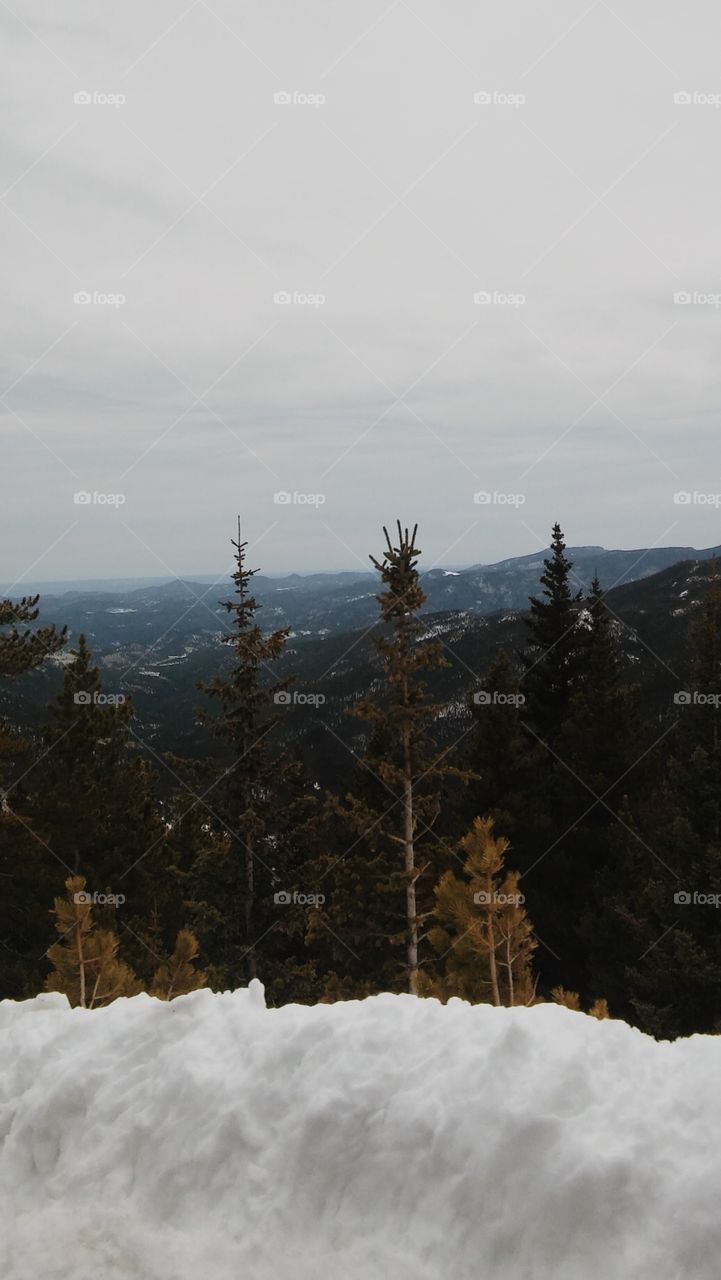 Rocky Mountain Springtime