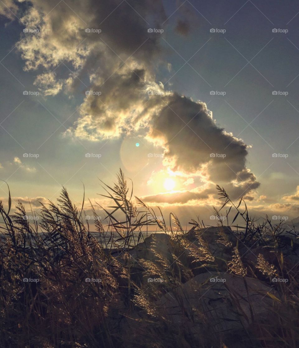 Sunset in the field 