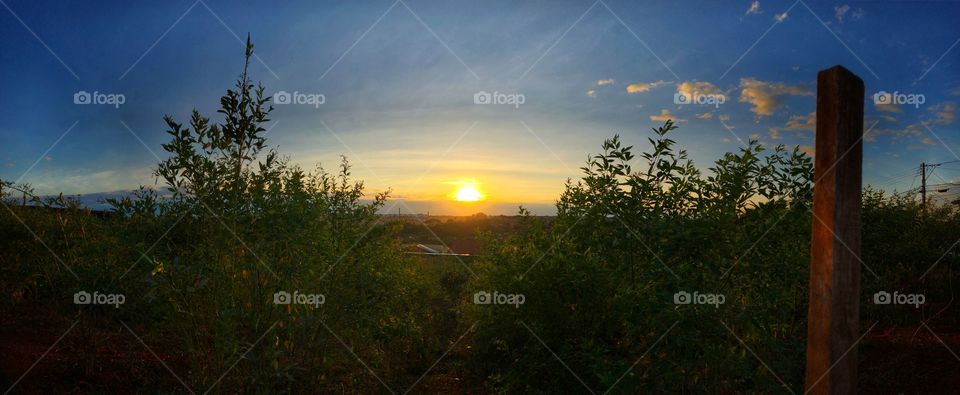 Panoramic photo of a Sunrise viewed from the city, in the country. Another great day starting with a great spectacle for those who wake up to watch it...