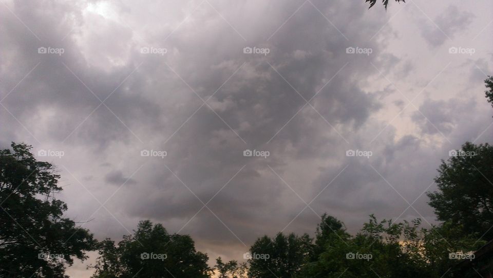 Storm Clouds. treeline with rain