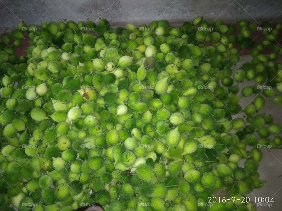 nutritional vegetables