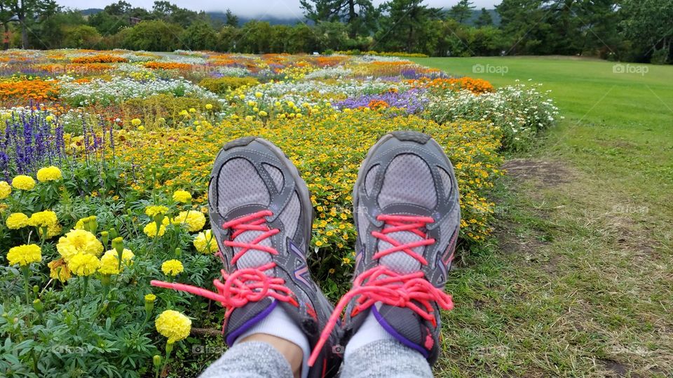 Enjoying flower blooming