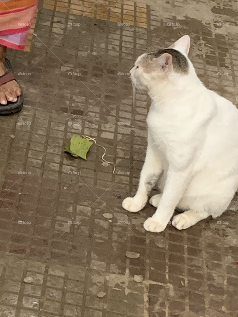 Sitting on the footpath 