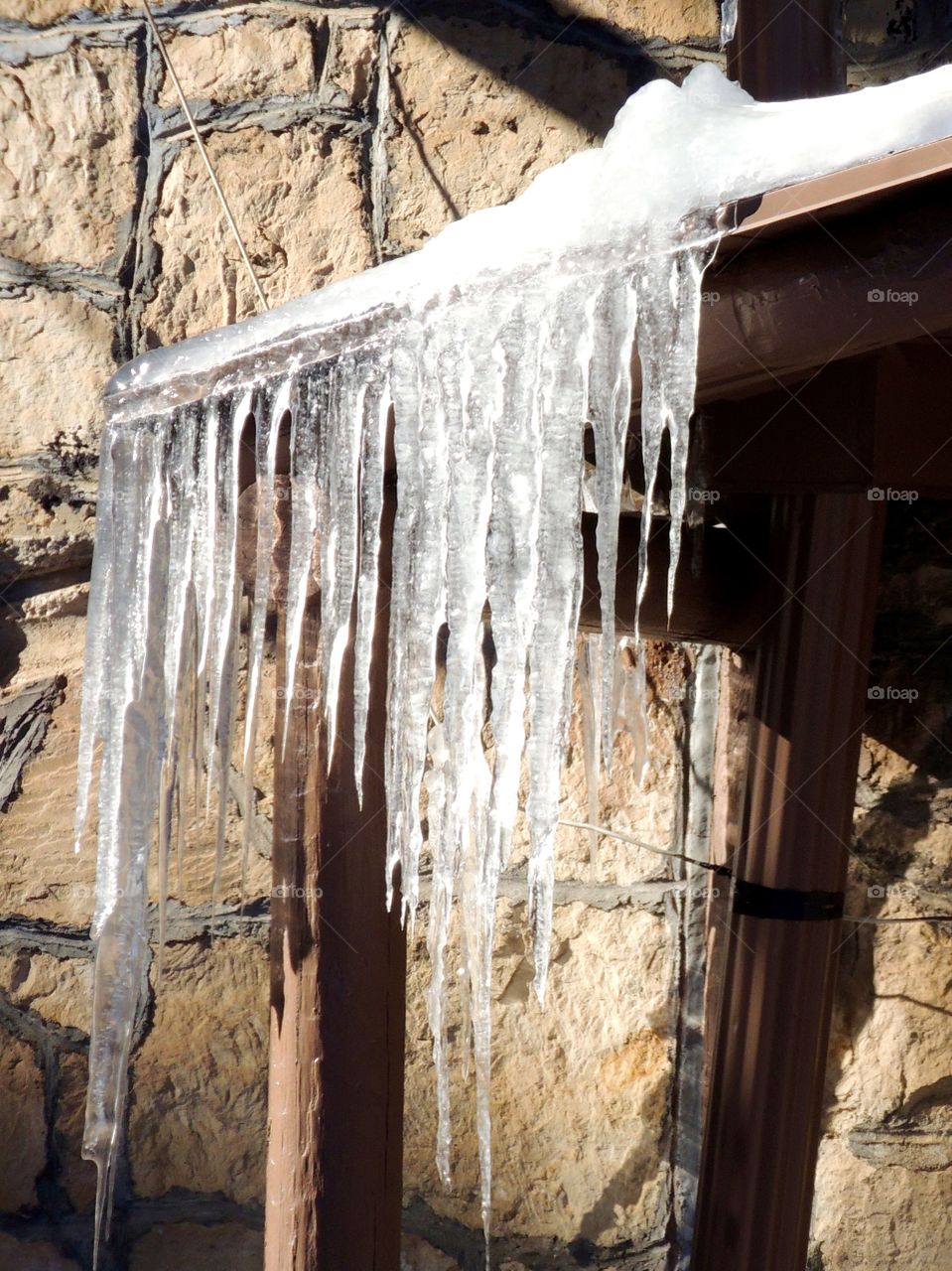 Icicles in winter