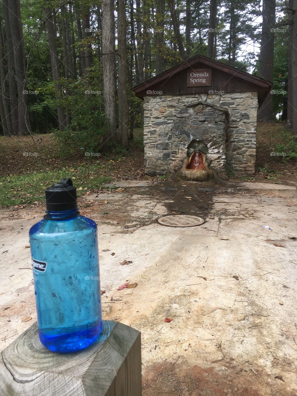 Nalgene bottle near mineral spring, Saratoga Springs New York