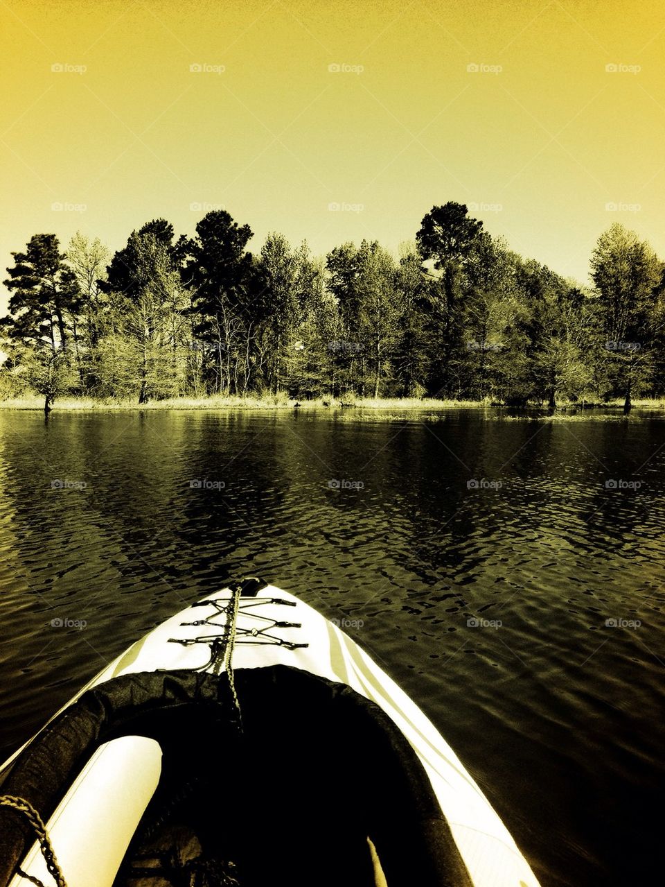 Kayaking the Lake 