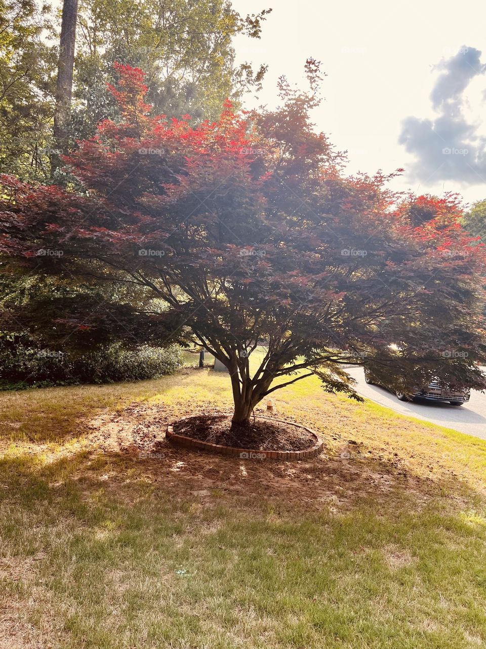 Sunset on a late spring day 