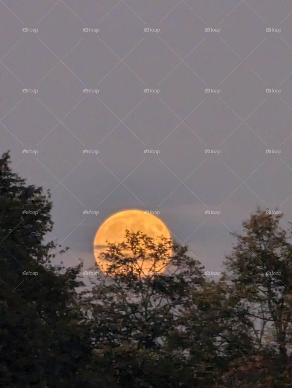 the moon goes to rest