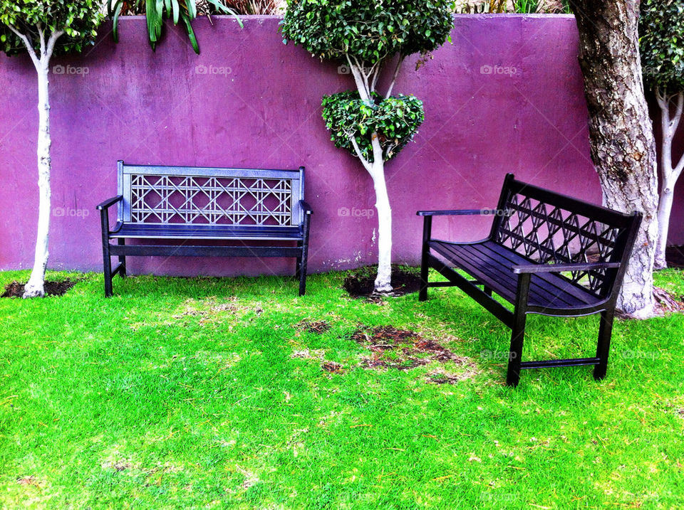 garden trees park empty by geraltamirano