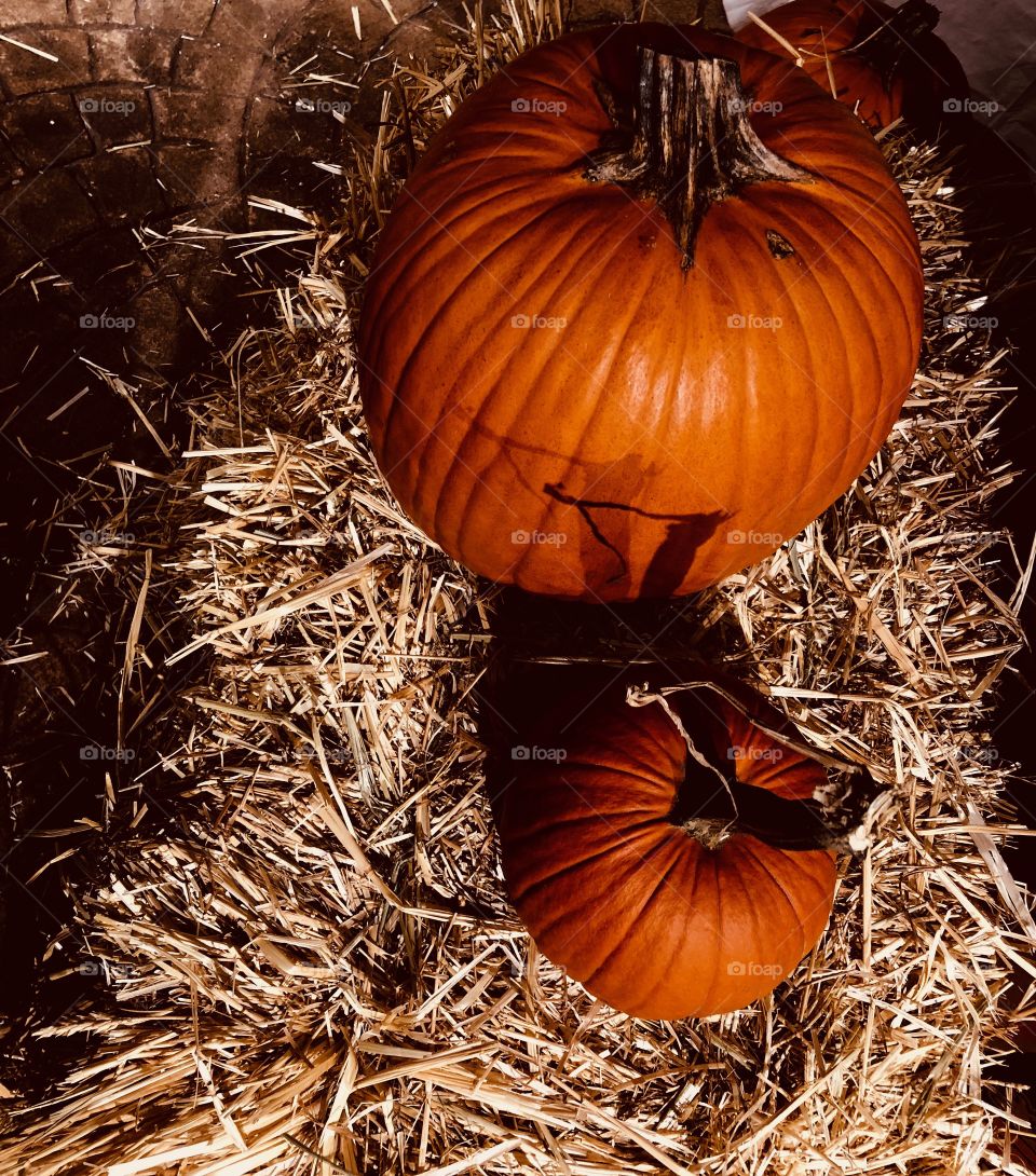 Two Pumkins