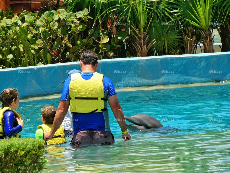 Swimming With Dolphins
