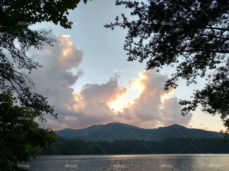Tree, Landscape, Lake, Water, Nature