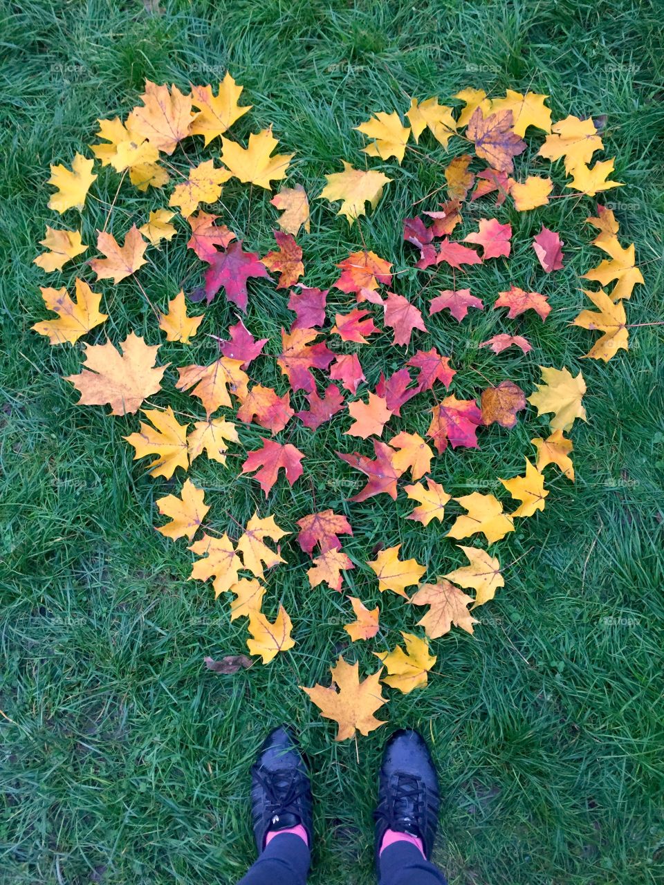 Heart made of Autumn leaves