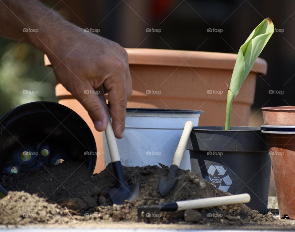 growing plants in 100% recyclable pots