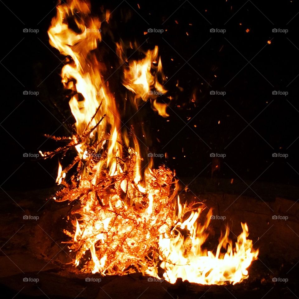 Bonfire 