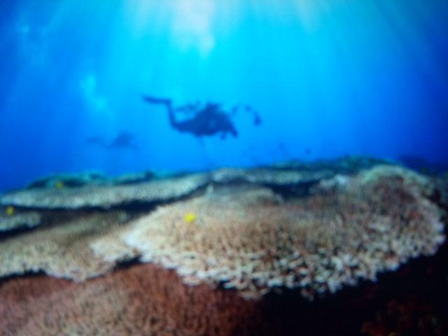 Underwater photos