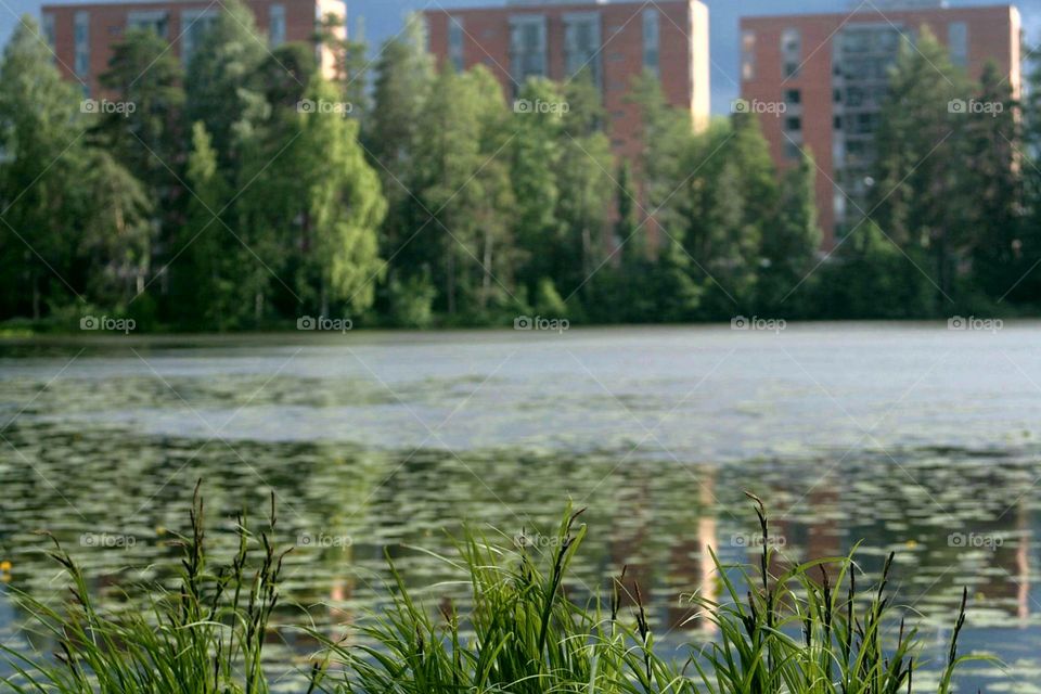 Three apartment buildings with sunlight, water and grass