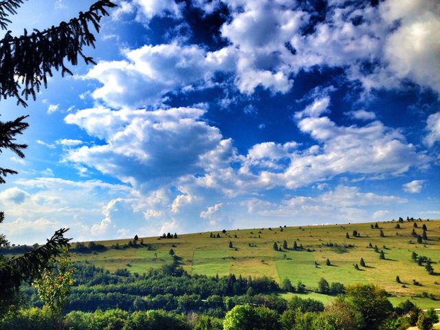 nature