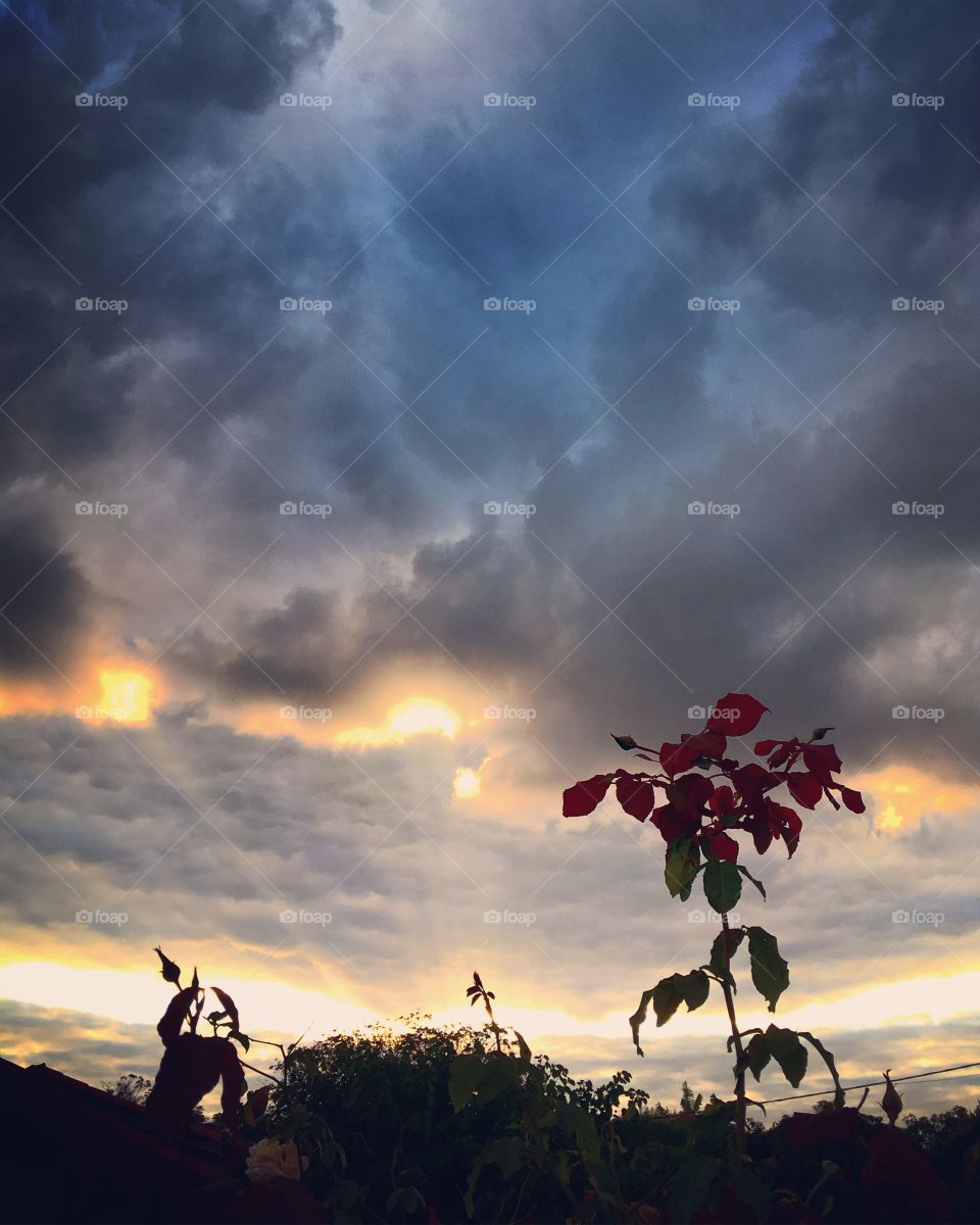 Espetáculo da #Natureza, senhoras e senhores!
#Entardecer com os raios do #sol dando #cores às #nuvens.
🌄
#paisagem #fotografia #inspiração 