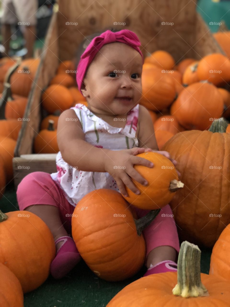 Pumpkins 