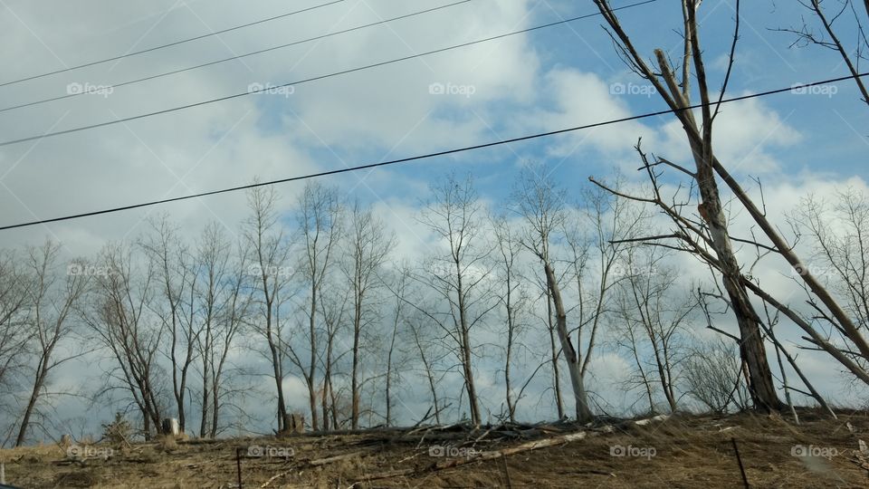 No Person, Nature, Tree, Landscape, Environment