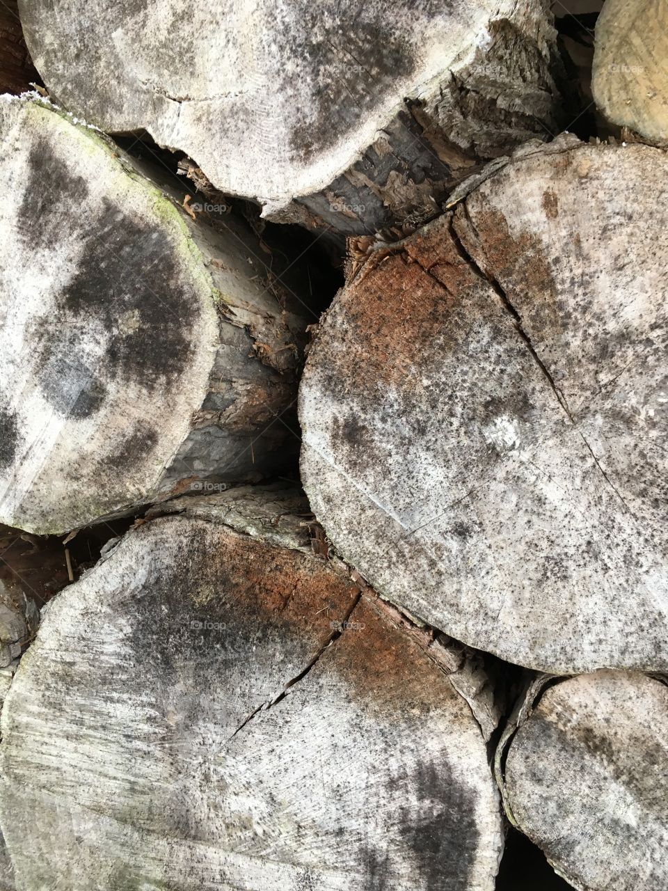 Grey logs