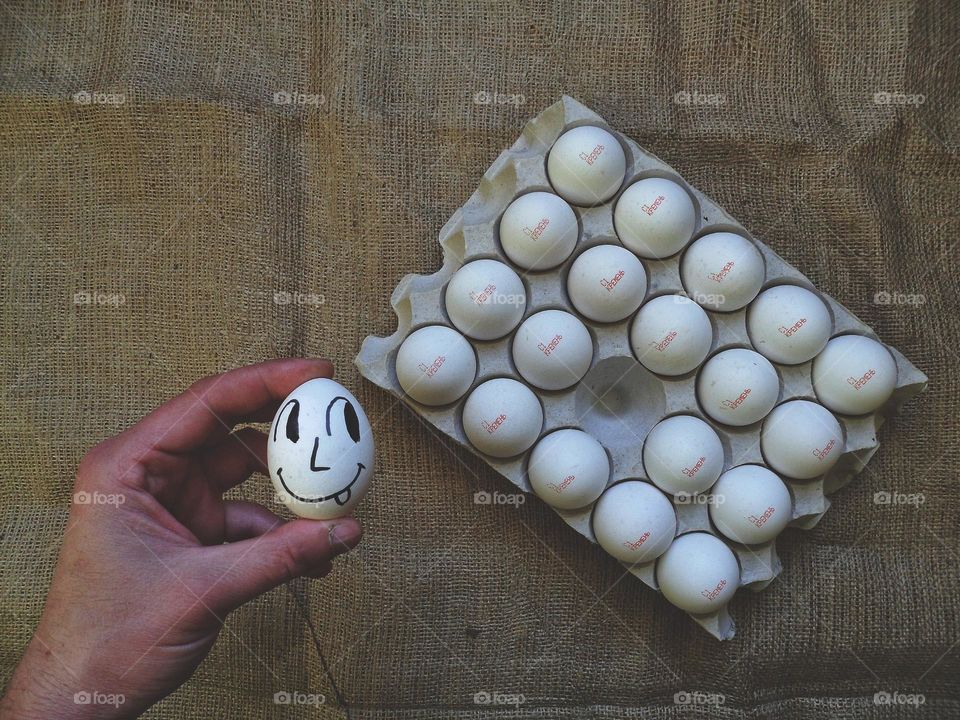 chicken egg tray