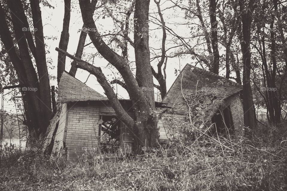 Abandoned house on farm