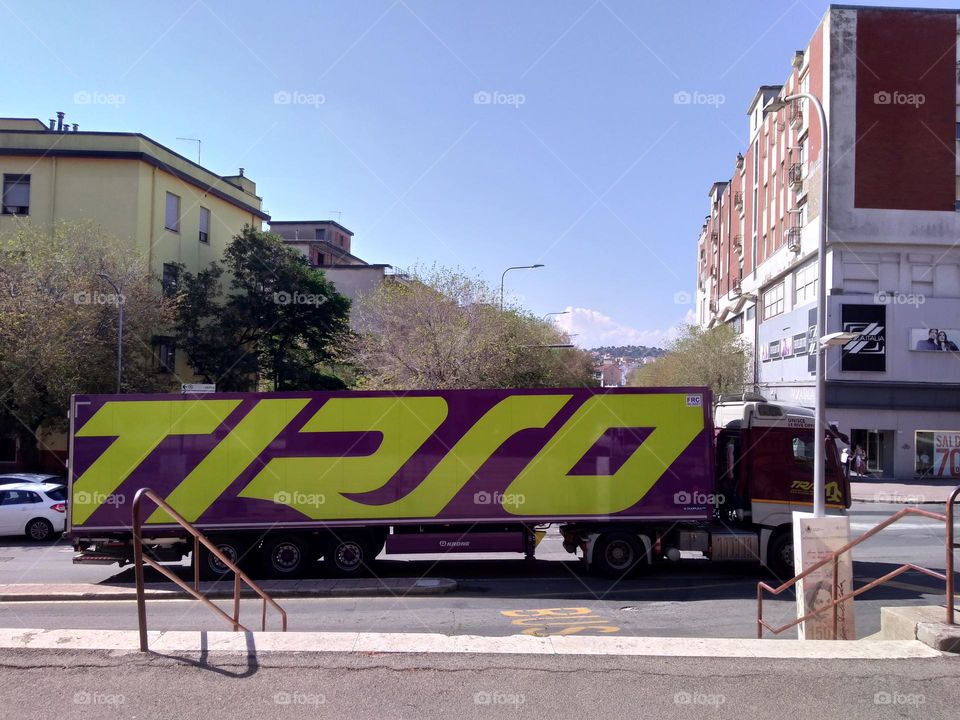 Editors' Choice - Photo of the Week