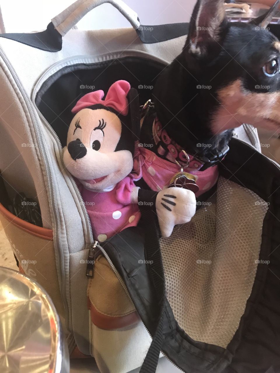 Minnie?