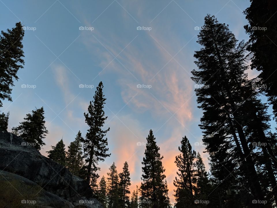 Sunset in the forest mountins