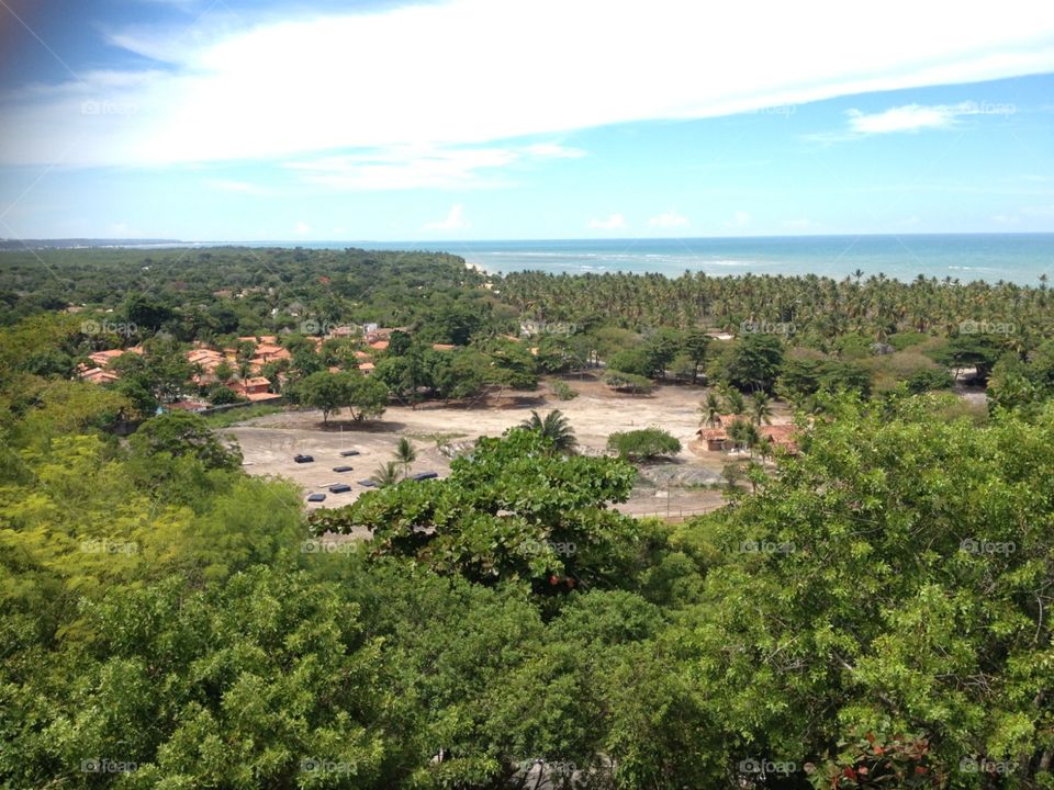 Brazil forest ocean blue sky cloude