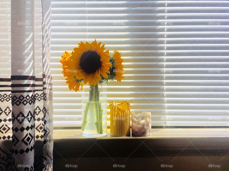 Sunflowers on the windowsill 